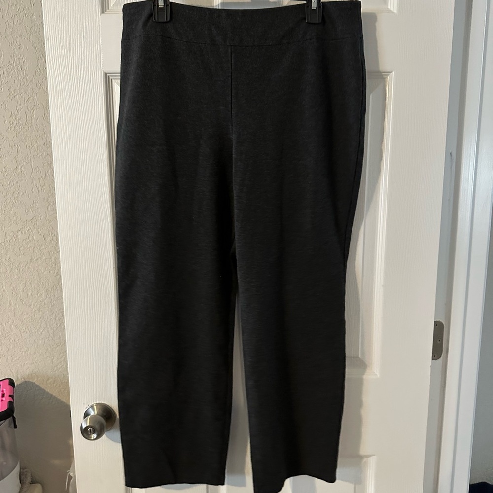 Allison Daley pants Large petite